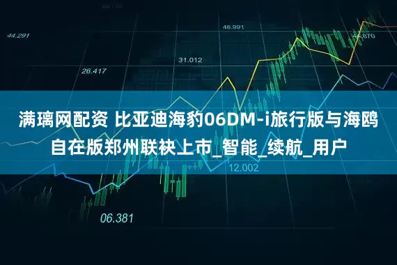 满璃网配资 比亚迪海豹06DM-i旅行版与海鸥自在版郑州联袂上市_智能_续航_用户